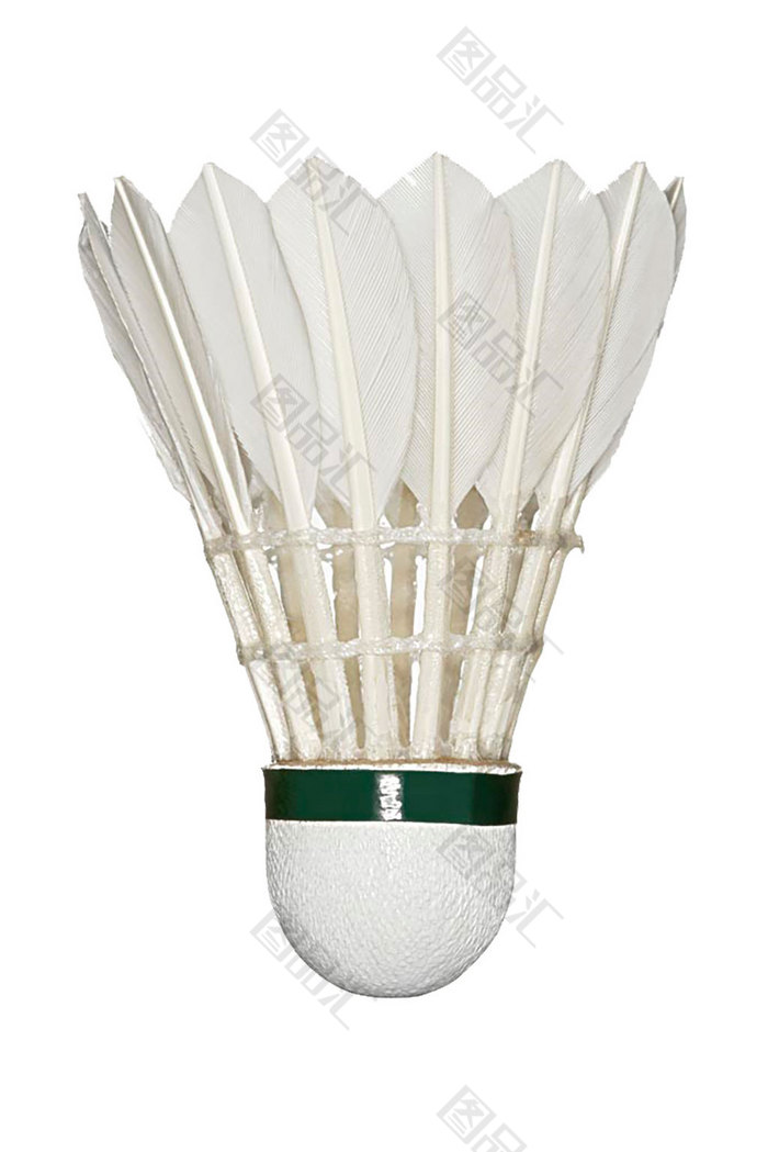 的两位主帅 的两位主帅