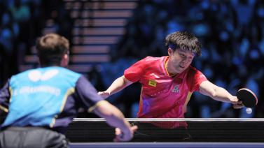 的关键拼图 的关键拼图